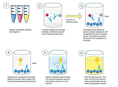 elisa test what is it|elisa test a level biology.